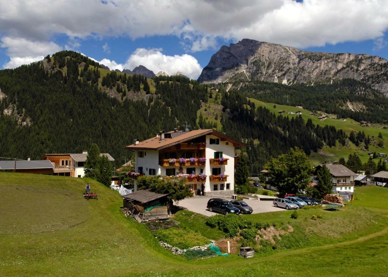 Villa Insam Apartment 塞尔瓦迪加尔代纳山谷 外观 照片